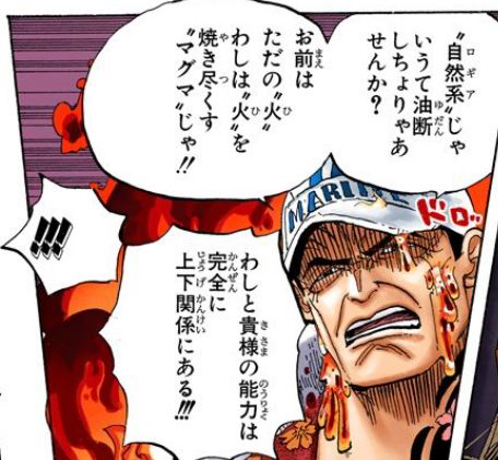 ワンピース いまだにマグマが火に強い理由が分からない 海賊王に俺はなる ルフィの冒険 One Piece