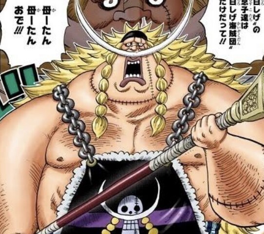 ワンピース カイドウとシャンクスの子供はまともなのに 海賊王に俺はなる ルフィの冒険 One Piece